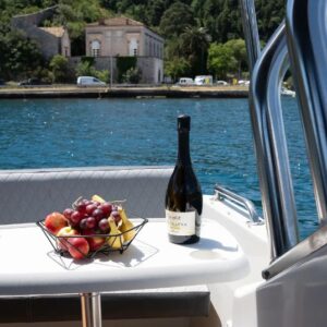 Custom boat tour (4 / 6 hours)